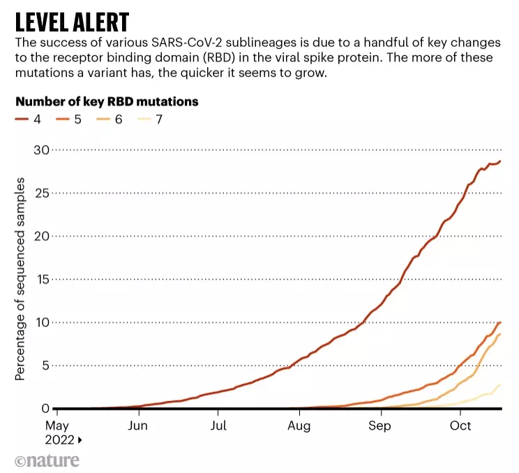 Number of the key mutations