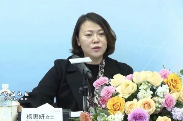 碧桂园董事会主席杨惠妍